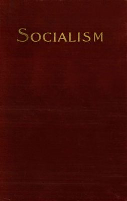 Cover of Socialism and the Social Movement in the 19th Century